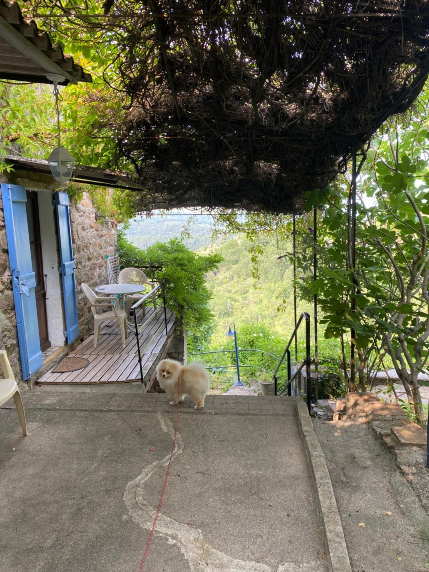 Lou-Pelou Villa Gravieres Exterior photo